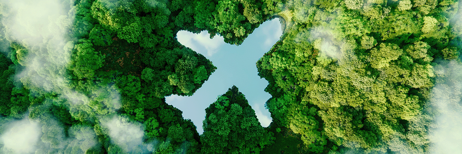  Header image of a plane-shaped sky cutout in a forest