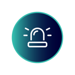 2025Website_ISS_Icon_-Emergency