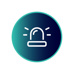 2025Website_ISS_Icon_-Emergency
