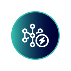 2025Website_OpsSecurity_Icon_Hollistic