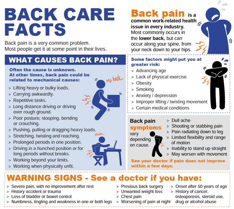Back pain infographic