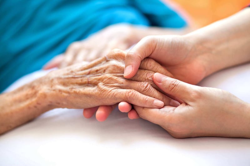 Looking after elderly guests and owners