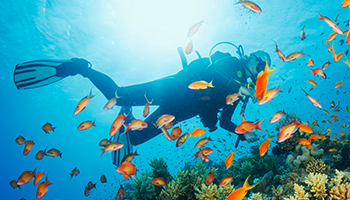 Blog: MedAire's Guide to Diving Safely