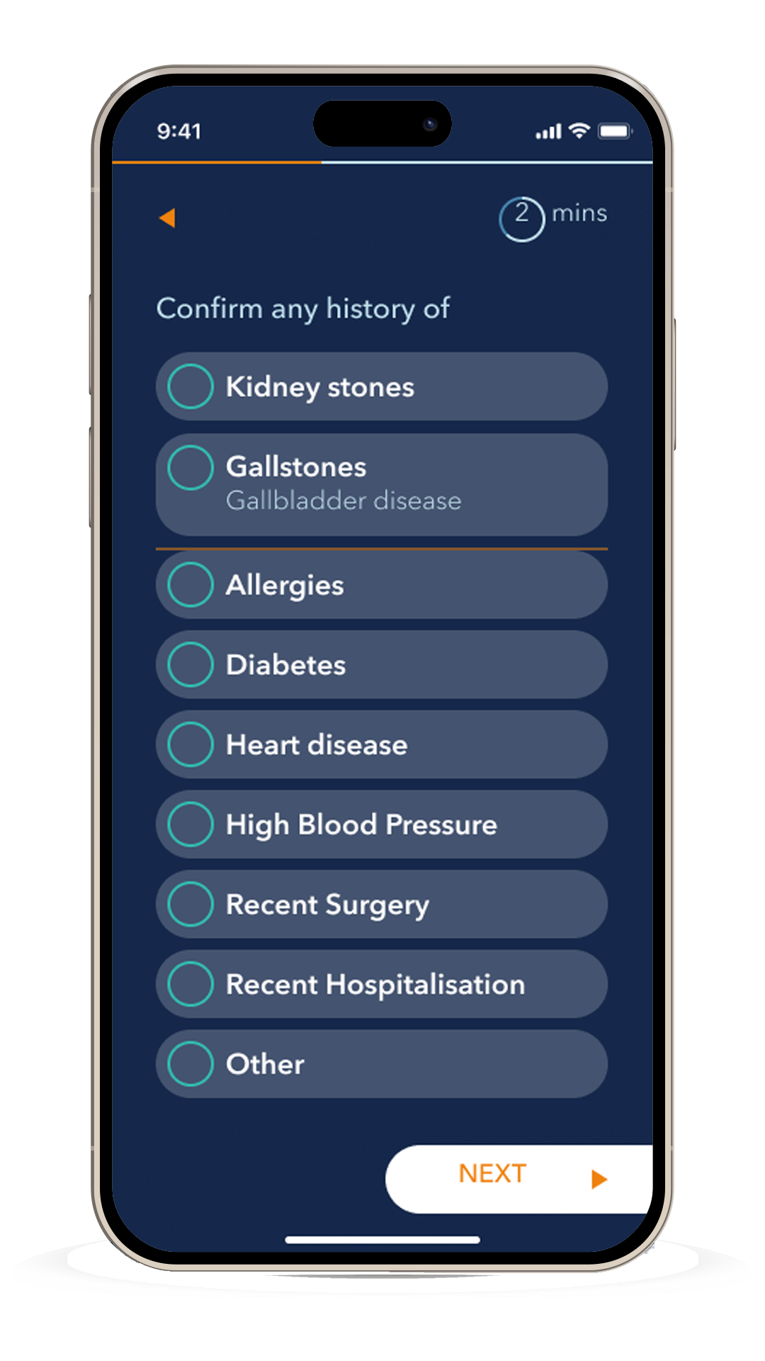 Medical History Interface