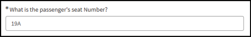 Passenger Questionnaire Form